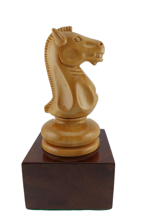 Trofeo Caballo