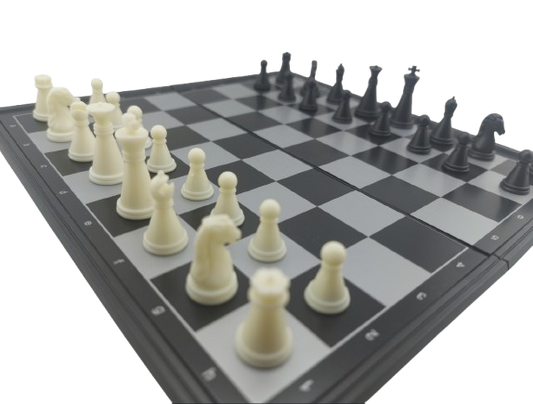 Juego de ajedrez magnetico 2x1