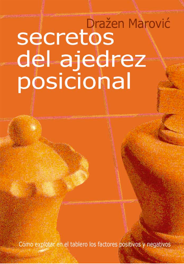 Secretos del Ajedrez Posicional